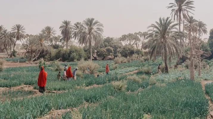 Passam Gouré agriculture