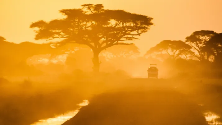 Sunlit Road Ahead FiCS 2