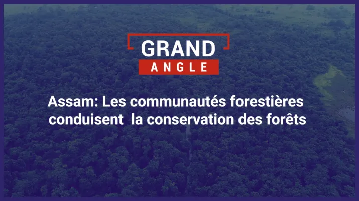 Assam : les communautés forestières conduisent la conservation des forêts