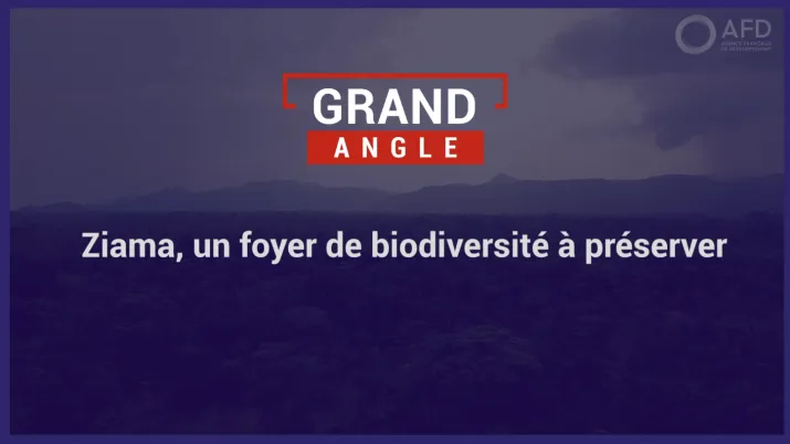 Ziama, un foyer de biodiversité à préserver