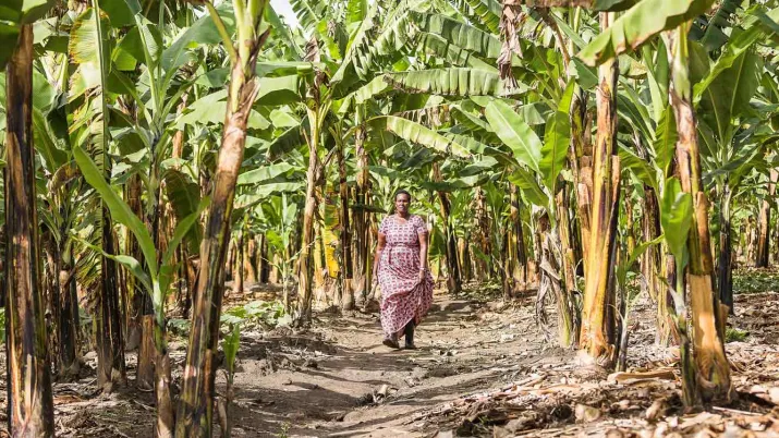 conférence Le genre dans l’adaptation au changement climatique