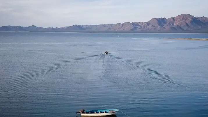 océans biodiversité marins