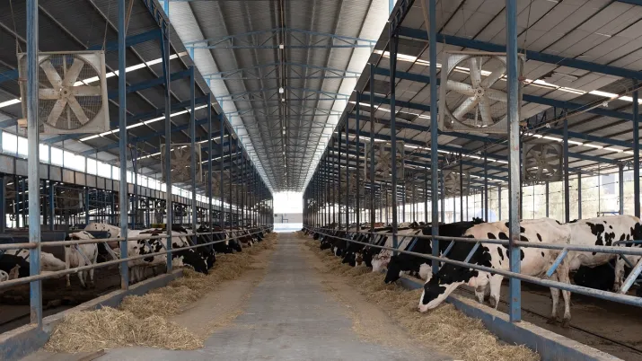 élevage Ouzbékistan bovins vaches ferme AFD