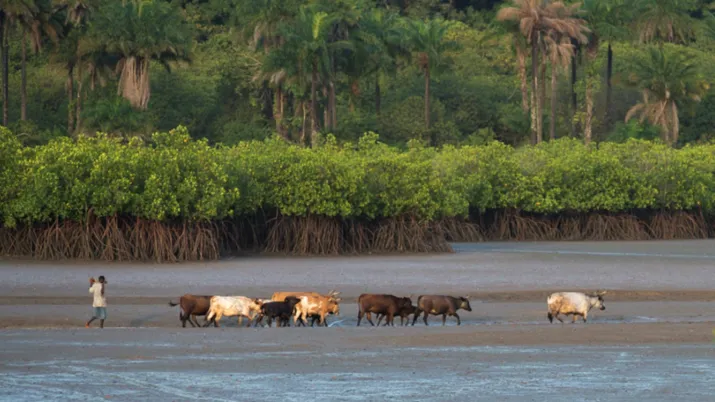 Programme pour la Gouvernance Concertée du Littoral