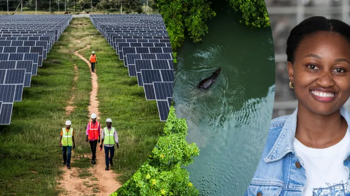 AFD Group - presentation