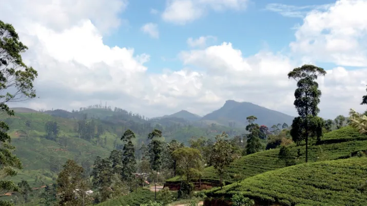 Agriculture, développement rural et biodiversité