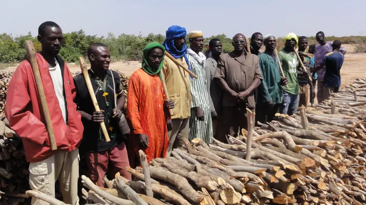 bucherons-marché-rural-bellaré-niger