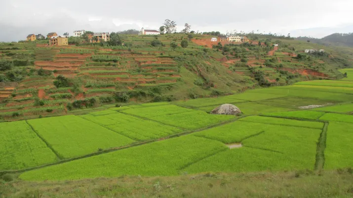 alefa-agroecologie-madagascar