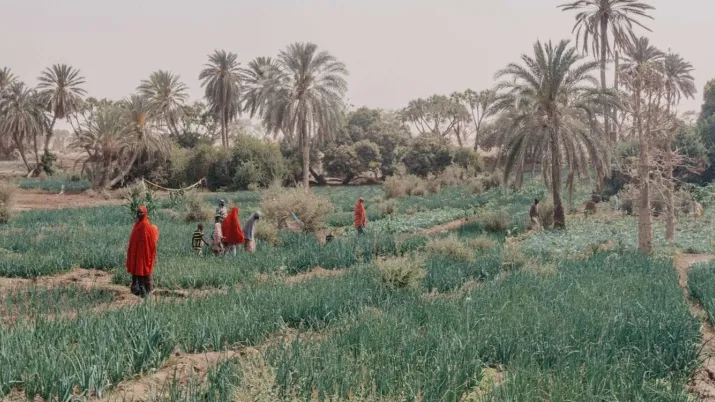 l’AFD s’est engagée à octroyer 600 millions d’euros sur la période 2021-2025 pour accélérer l’initiative Grande Muraille Verte 