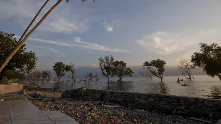 L’AFD accompagne l'Indonésie dans la mise en oeuvre de sa stratégie carbone bleu