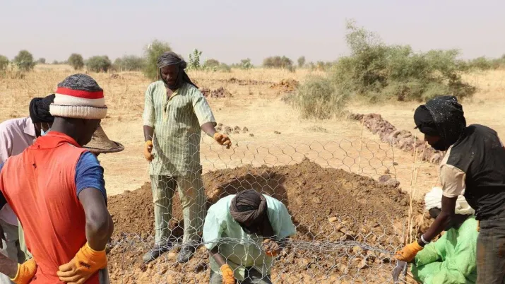 L'AFD contribue à l’accélération de la mise en oeuvre de l’initiative de la Grande Muraille Verte