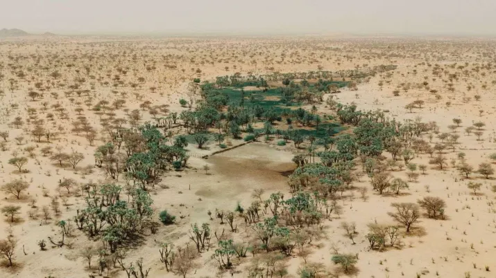 Programme SAIR : Systèmes alimentaires inclusifs et résilients au Niger