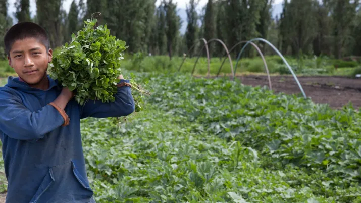  Zone patrimoniale lacustre de Xochimilco, Mexique