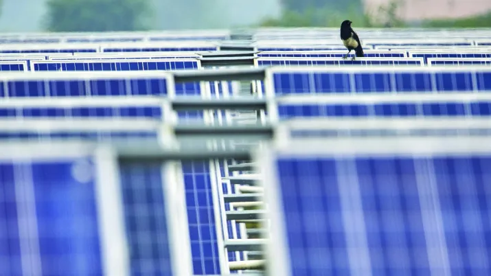 Accompagner la création du premier fonds provincial climat en Chine, dans le Shandong