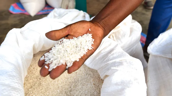 Dassa – Unité de transformation du riz