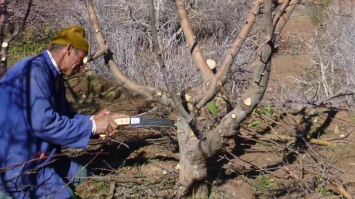 L'AFD accompagne l'ONG Agrisud pour une agriculture responsable à Ouarzatate, au Maroc