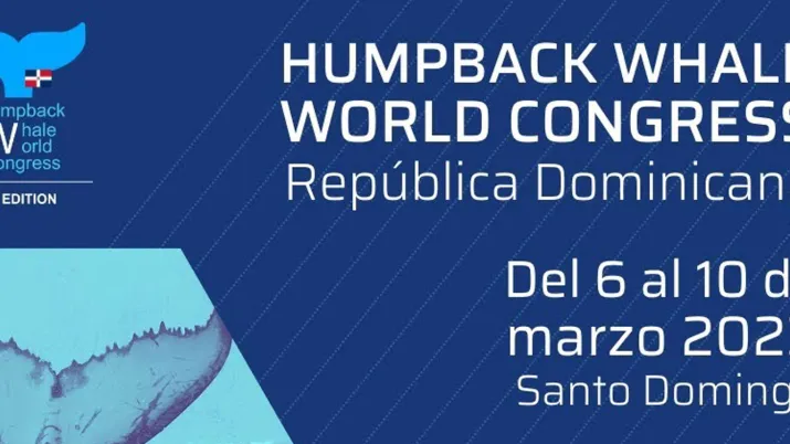 La République dominicaine au cœur de la préservation de la baleine à bosse