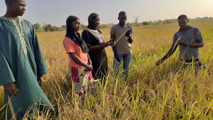 AFD appui les organisations paysannes au Burkina et en Guinée