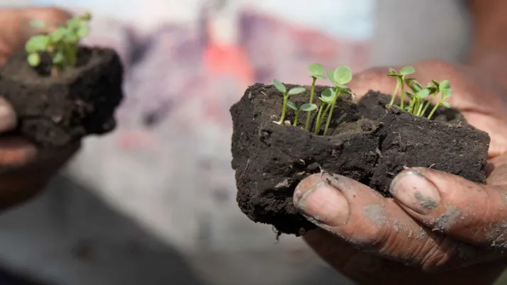 Boues d'épuration Brésil