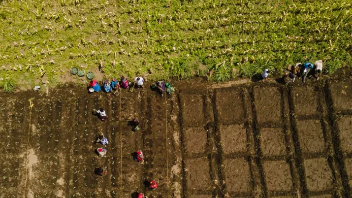 Mai 2023 : l'AFD soutient 20 nouveaux projets d'OSC