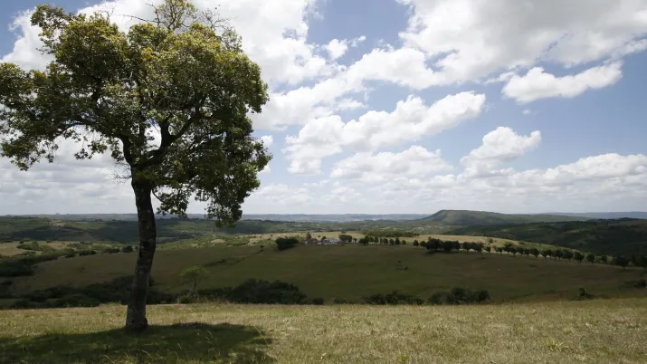 Pampa prairies Brésil