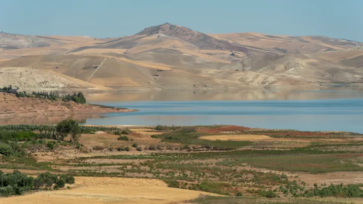 Conférence économie africaine 2024 
