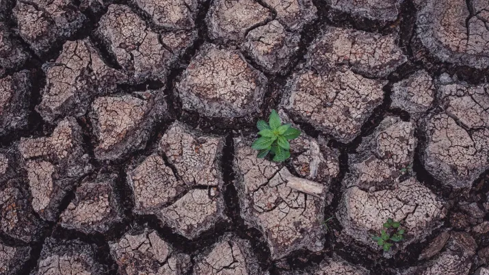 terre Rodriges Maurice
