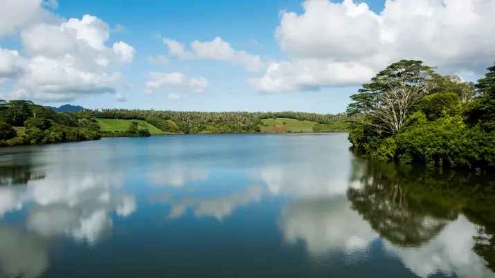 Centrale hydroelectrique de Tamarin Falls
