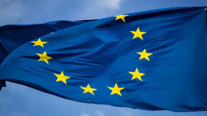 europe AFD election Union