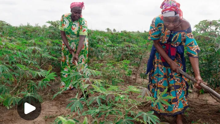 action sociale congo femmes agriculture