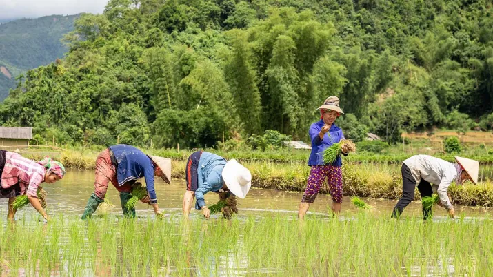Le projet vise à accélérer la mise en œuvre de politiques et de pratiques d’adaptation qui soient inclusives et transforment les normes de genre, en Amérique latine et en Asie.