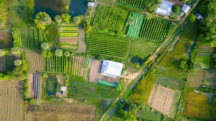 Ce projet vise à renforcer et pérenniser la démarche multi-acteurs pour un développement agricole durable