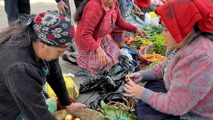 Le projet vise à promouvoir l’intensification et la transition agroécologique au Guatemala