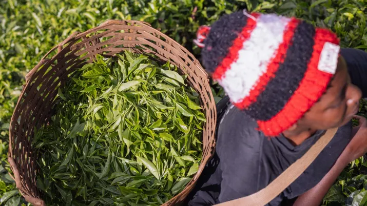 Femmes agricultrices Haïti