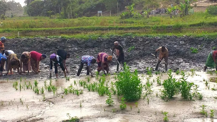 Ce projet vise à contribuer à une augmentation durable de la production du poisson et à une réduction de l’insécurité alimentaire en Côte d'Ivoire