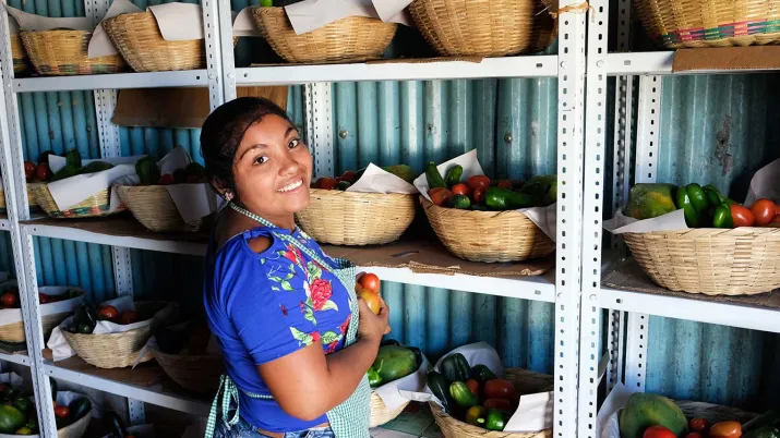 Ce projet vise à renforcer la sécurité alimentaire et nutritionnelle des familles rurales et urbaines au Salvador
