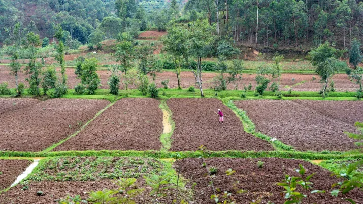 partenariats transformation alimentaire afd conference