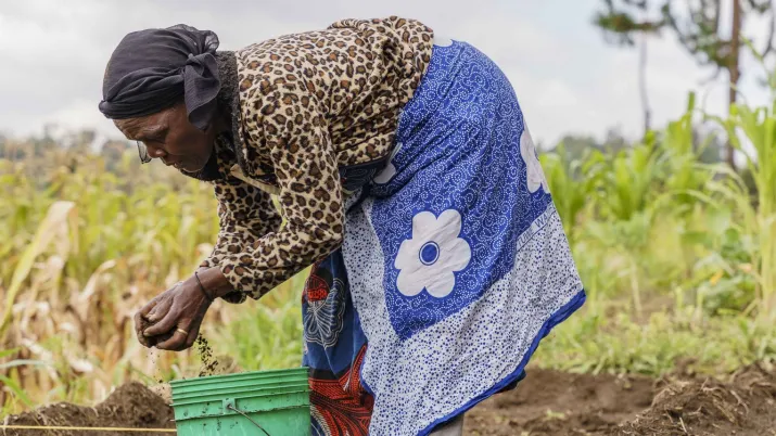 Agriculture Tanzanie
