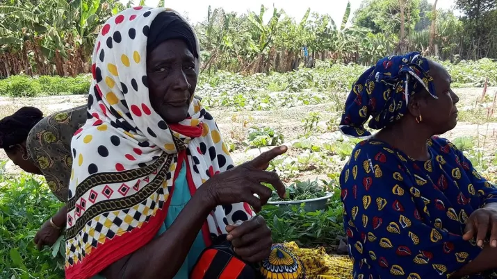 Guinée : avec AdaptAction, le maraîchage local s’adapte au changement climatique