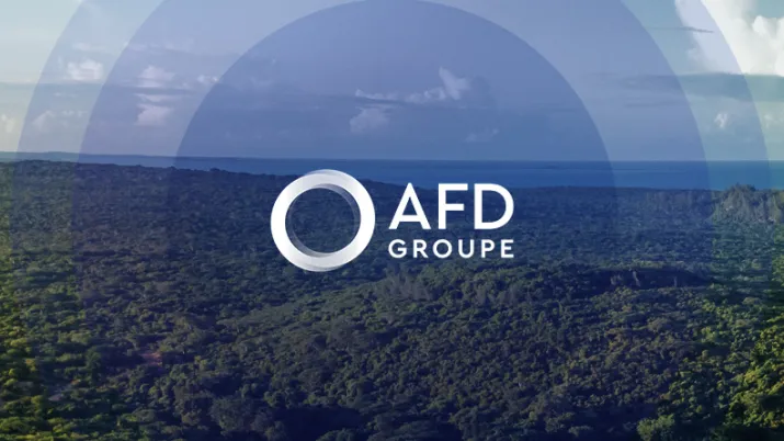Logo du groupe AFD