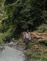Une oasis dans le désert