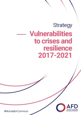 Strategy Vulnerabilities to Crises and Resilience 2017-2021