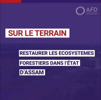 Restaurer les écosystèmes forestiers dans l'état d'Assam