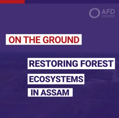 Restoring forest ecosystem in Assam
