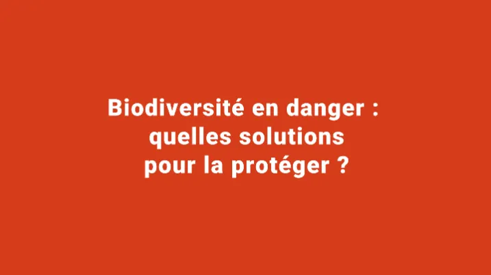 Biodiversité en danger : quelles solutions pour la protéger ?