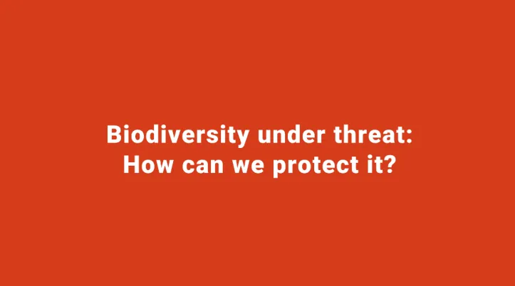Biodiversity under threath: how can we protect it?