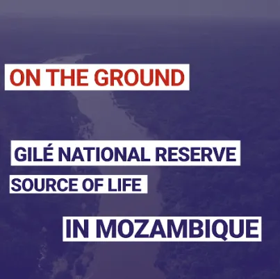 Gilé National Reserve : Source of life in Mozambique