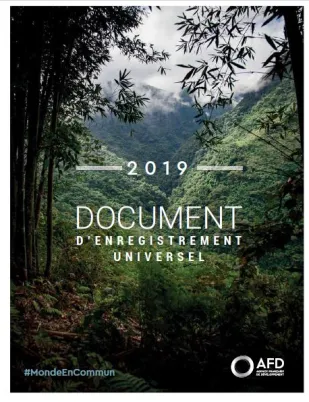 Document d'enregistrement universel 2019 AFD