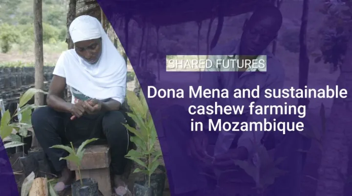 Dona Mena and sustainable cashew farming in Mozambique