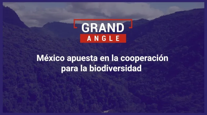 México apuesta en la cooperación para la biodiversidad